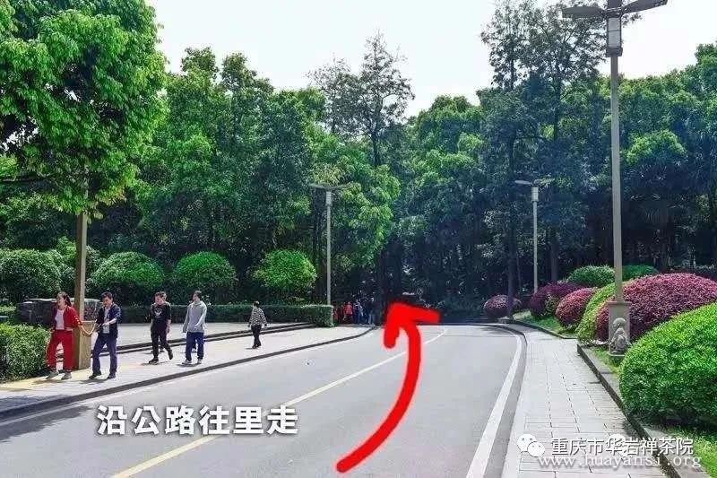 重庆华岩禅茶院线路图